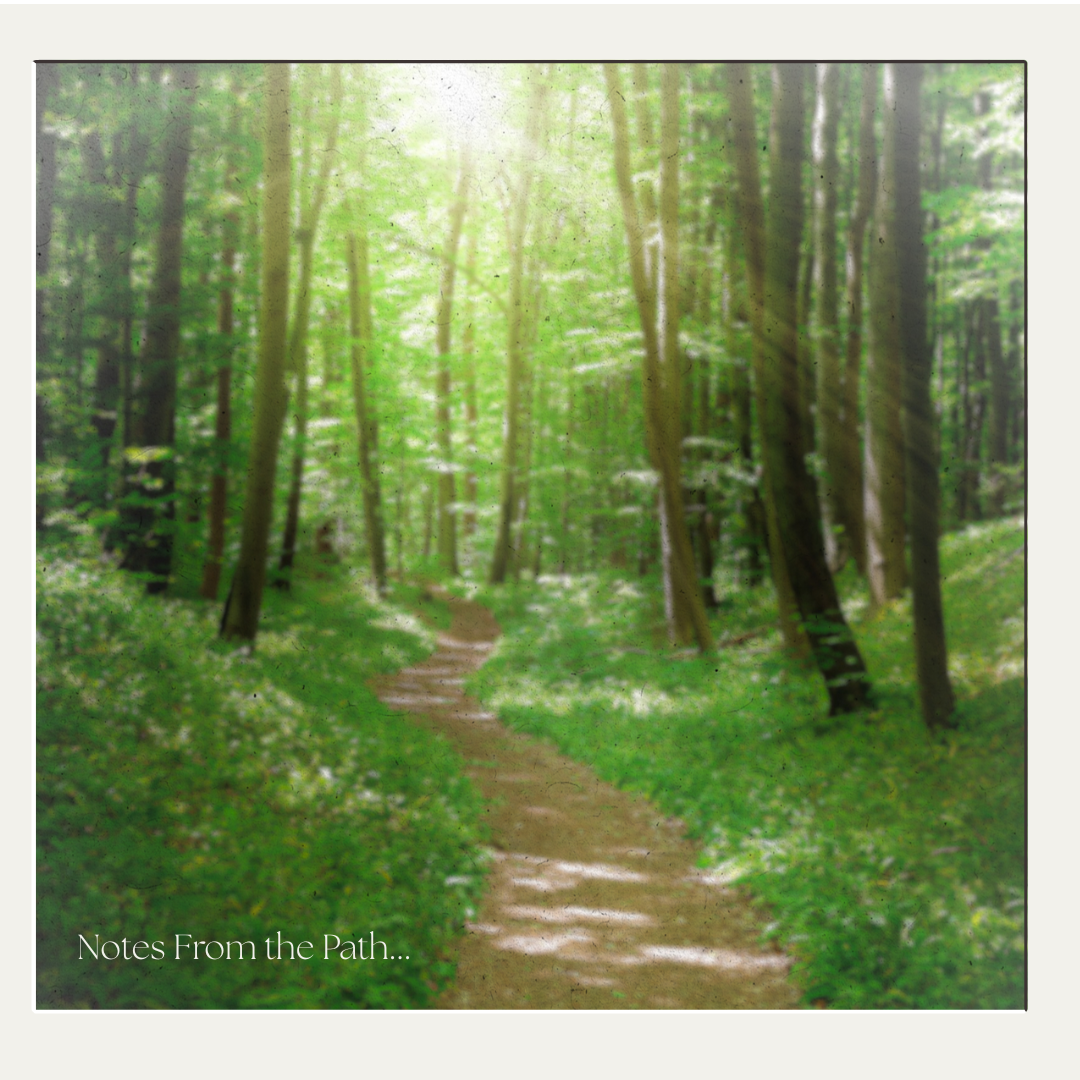 Notes from the Path